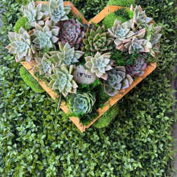 Earthbound Love