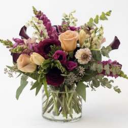 Maeve