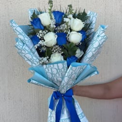 BLUE DREAM LUX