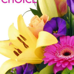 Designers Choice Arrangement