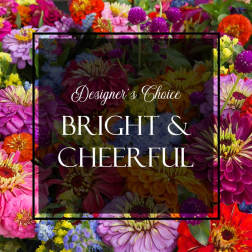 Bright mixed bouquet of colorful daisy-like flowers