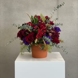 Red and purple floral arrangement in a terracotta pot