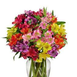 Colorful bouquet of alstroemeria in a clear glass vase