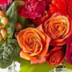 Close-up bouquet of orange and red roses with pink berries