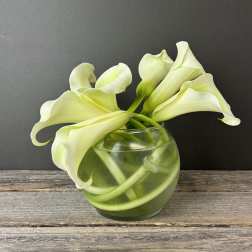 Curving Callas- 48hour Notice Required