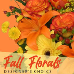 Fall Season Designer's Choice