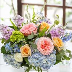 Blooming Garden