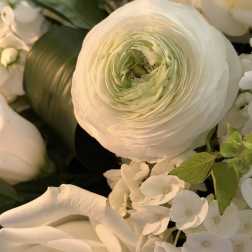 White floral arrangement with a large ranunculus and white blooms