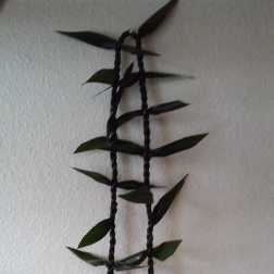 Black braided hanging planter with small green leaves