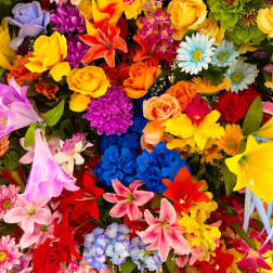 Bright mixed bouquet with lilies, roses, daisies, and orchids in many colors