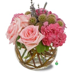 Pink roses and hydrangeas in a round glass vase