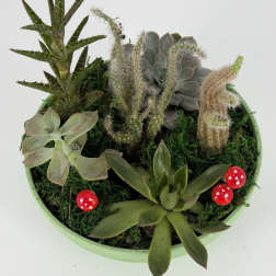 Succulent planter in a shallow green bowl with red mushroom decorations
