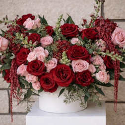 Blushing Romance
