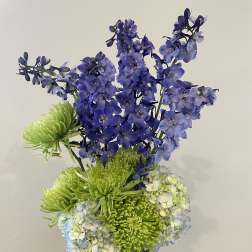Blue delphinium and green chrysanthemums in a dark vase