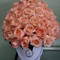Bouquet of peach roses in a white hatbox