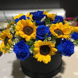 Midnight petals