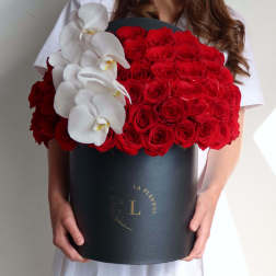 Classic Red - 50 roses in a box