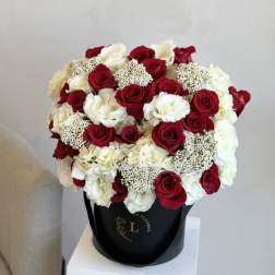 Red and White Radiance