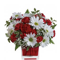 Red carnations and white daisies in a clear glass vase