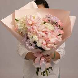 Blush Harmony
