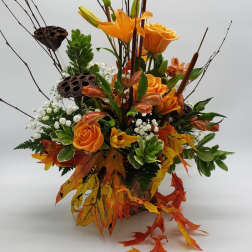 Burnt Orange Meadow