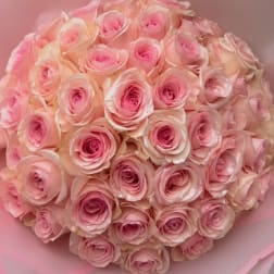 Round bouquet of pale pink roses wrapped in pink paper