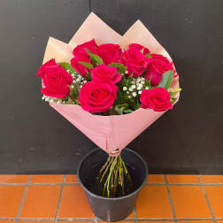 Daily Dozen Rose Bouquet (Pink/Red/Purple/Mix)