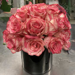 Two Dozen Roses