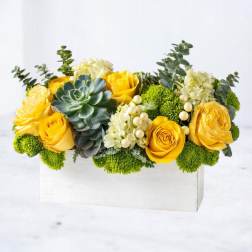 Mellow Yellow