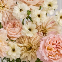Designer's Choice Vase Arrangement