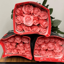 Three boxes filled with pink roses and red trim
