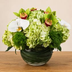 Green hydrangeas and orchids arranged in a glass bowl vase