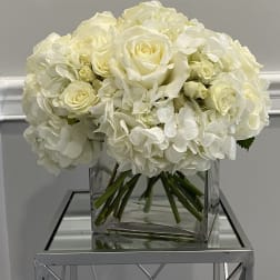 Hydrangea Me Lovely
