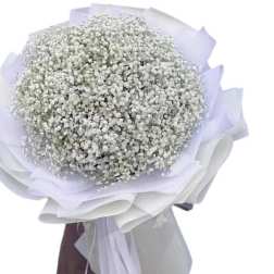 White and very fluffy cloud of gypsophila flowers.