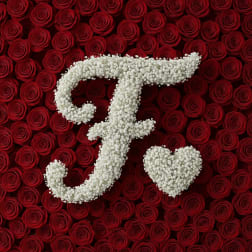 Baby's Breath Letter - F