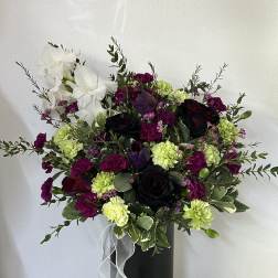 Velvet Blooms