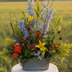 Lost in the Meadows (designers choice)