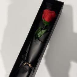Single red rose in a black gift box