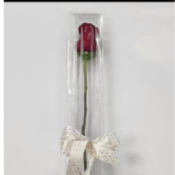 Single red rose in a clear plastic tube with a ribbon bow