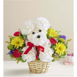 White teddy bear floral arrangement in a wicker basket with a red bow