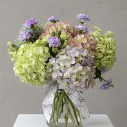 Sugarwashed Blooms