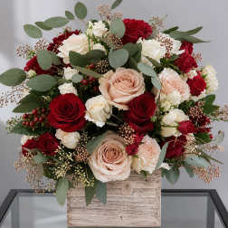 Beautiful Romance