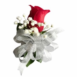 Red calla lily boutonniere with white baby's breath and silver ribbon