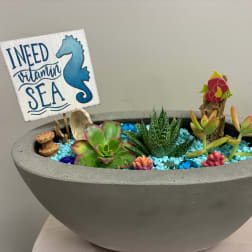 Succulent planter in a concrete bowl with a "Need Vitamin Sea" sign
