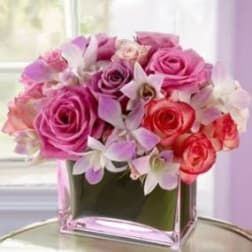 Pink and red roses with white orchids in a glass vase