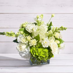 White roses and green hydrangeas in a clear square vase