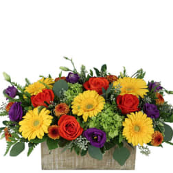 Colorful flower arrangement in a rectangular wooden box