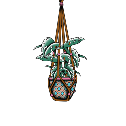 Hanging potted plant with split-leaf foliage in a patterned pot
