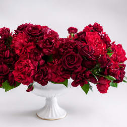Red Passion