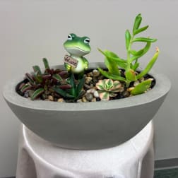 Succulent arrangement in a gray bowl planter with a small frog figurine